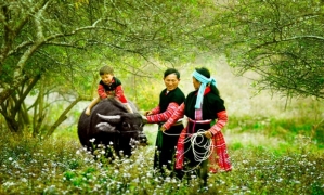 Sapa – Bac Ha 03 Days 04 Nights