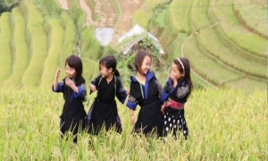 Sapa – Bac Ha 03 Days 04 Nights