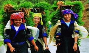 Sapa Medium Trekking 04 Nights 03 Days (By train)