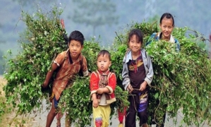 Sapa 2 days 01 night by bus
